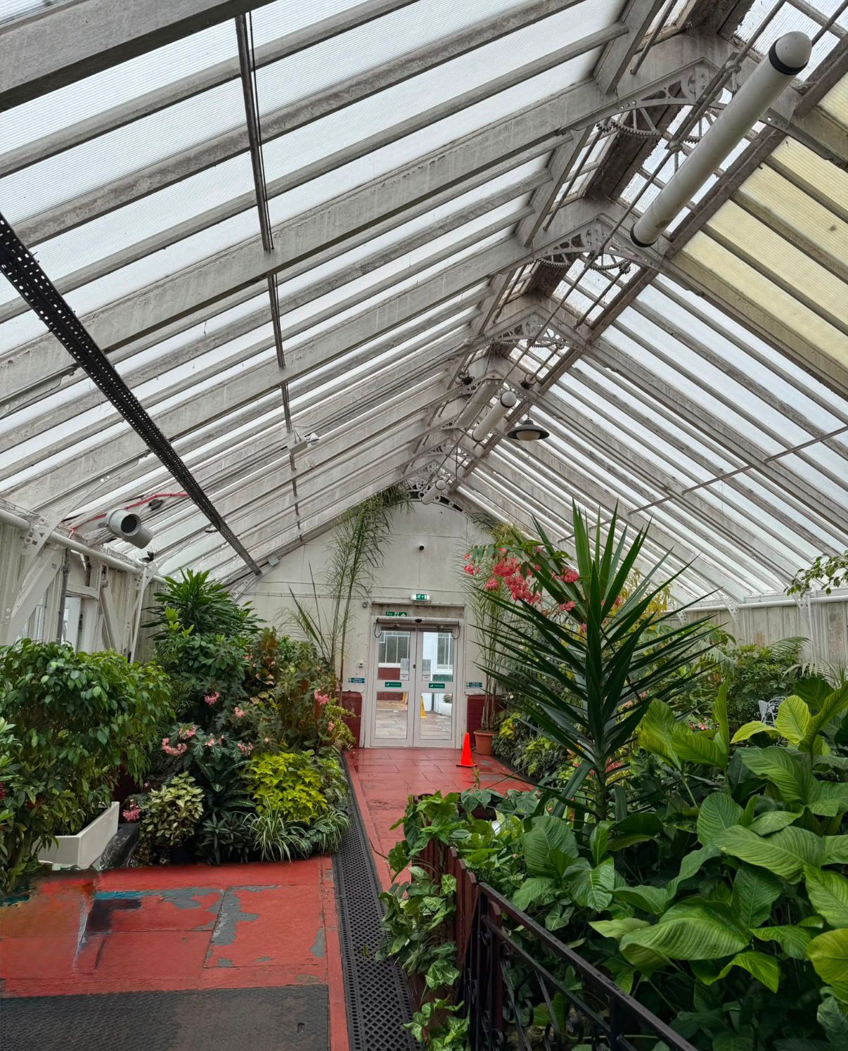 Walking through a tropical greenhouse