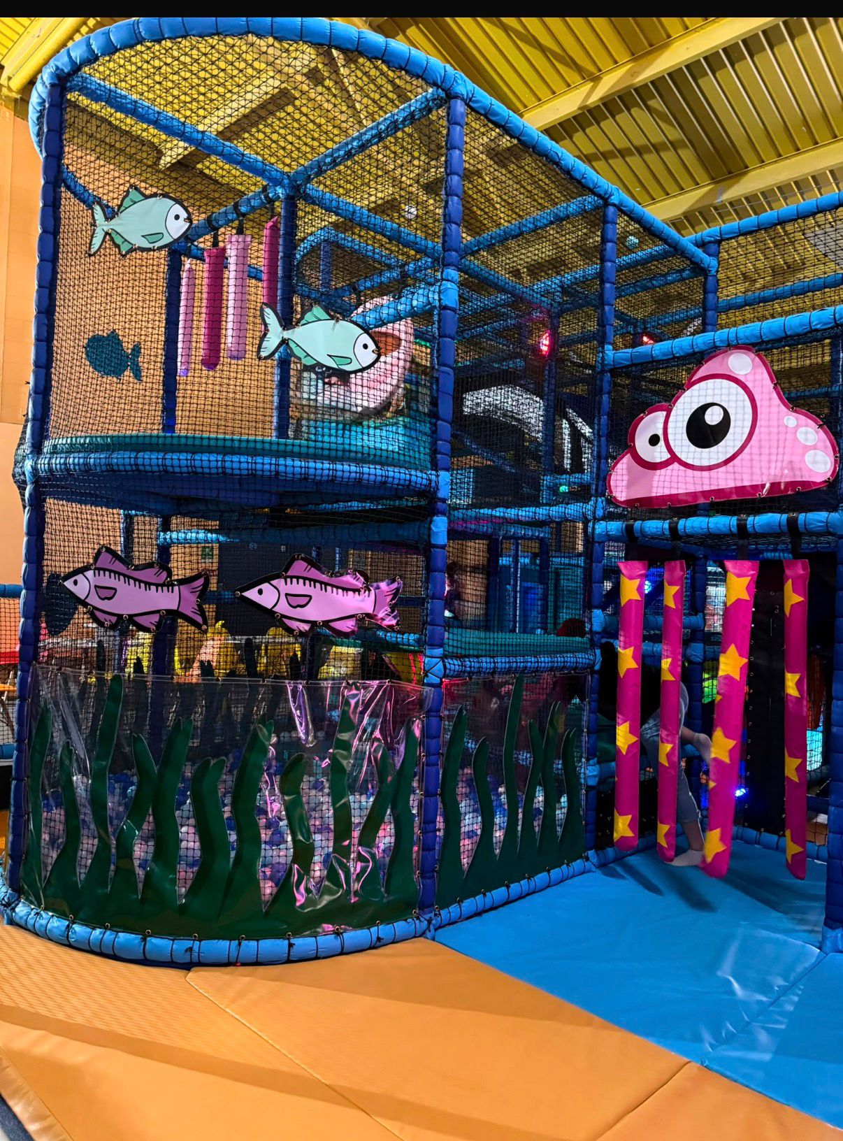 Ocean-themed indoor play structure