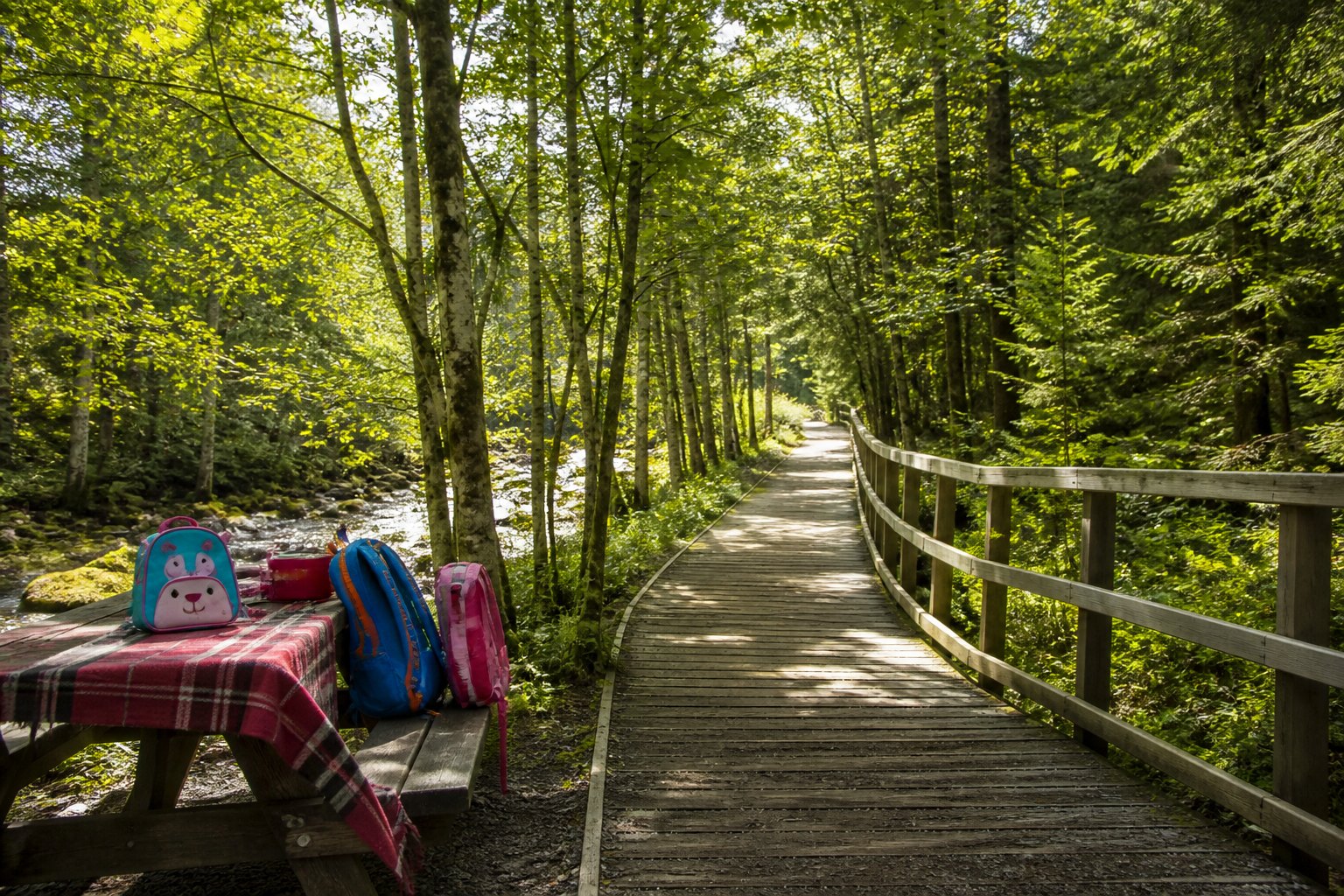 A countryside trail ready for a holiday club day out
