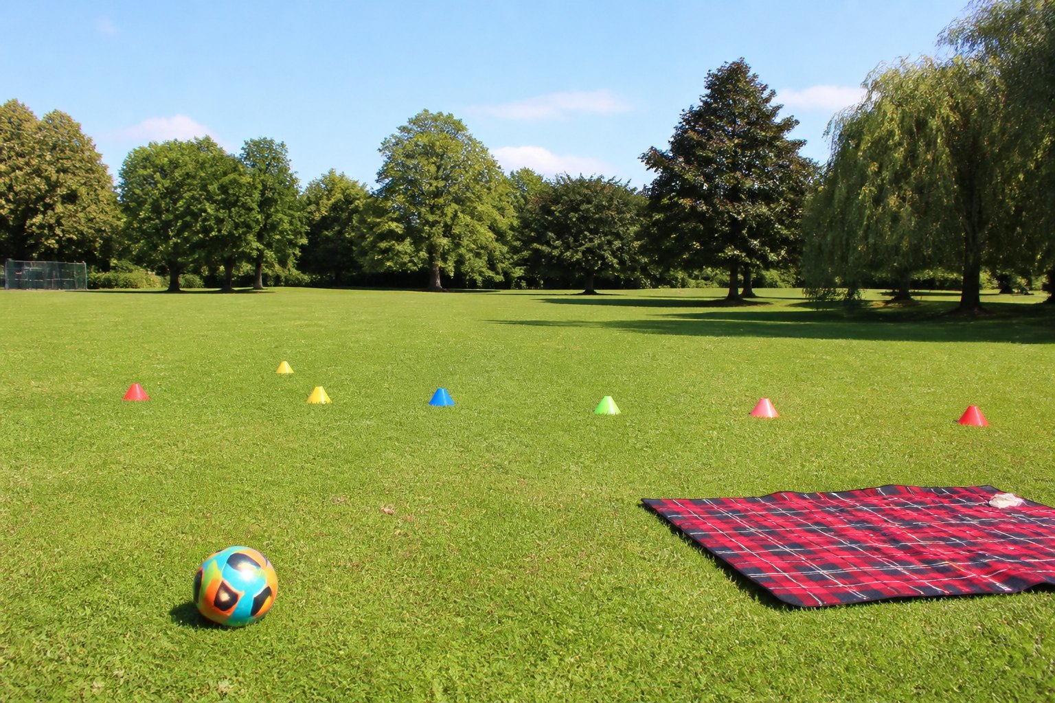 A sunny park with space for games